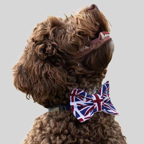 Patriotic bow ties