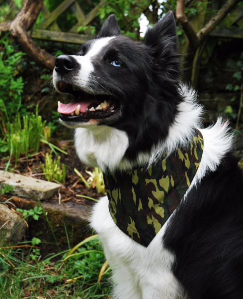 Camouflage Dog Bandana (Jungle)