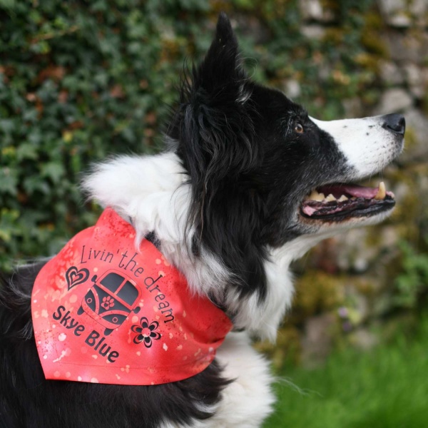 Personalised Campervan Dog Bandana