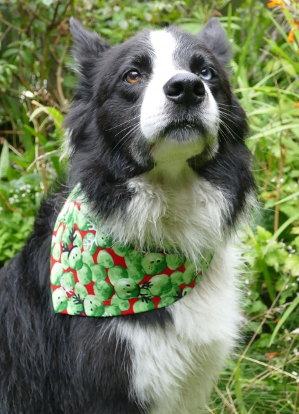 Christmas Sprout Dog Bandana