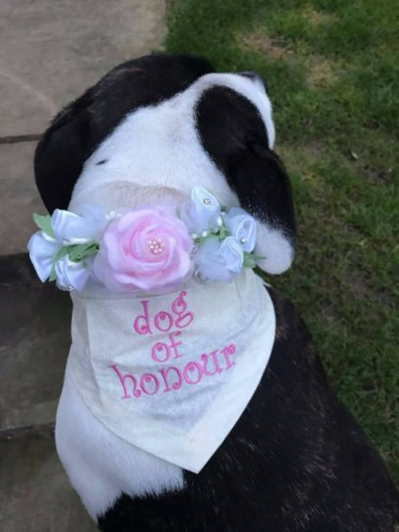 Dog Of Honour Wedding Dog Bandana