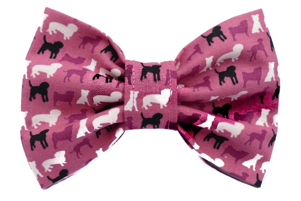 Doggy Days Dog Bow Tie