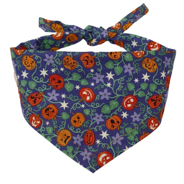 Pumpkin Party Dog Bandana