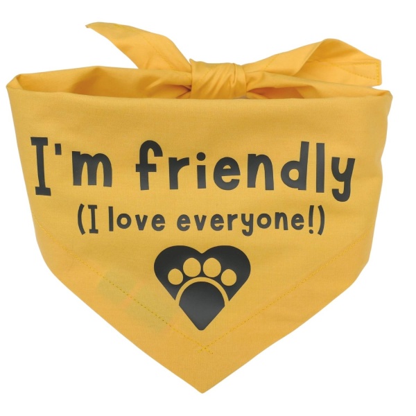 I'm Friendly Printed Dog Bandana