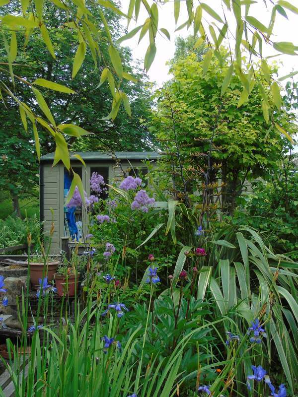 the garden studio at dudiedog bandanas