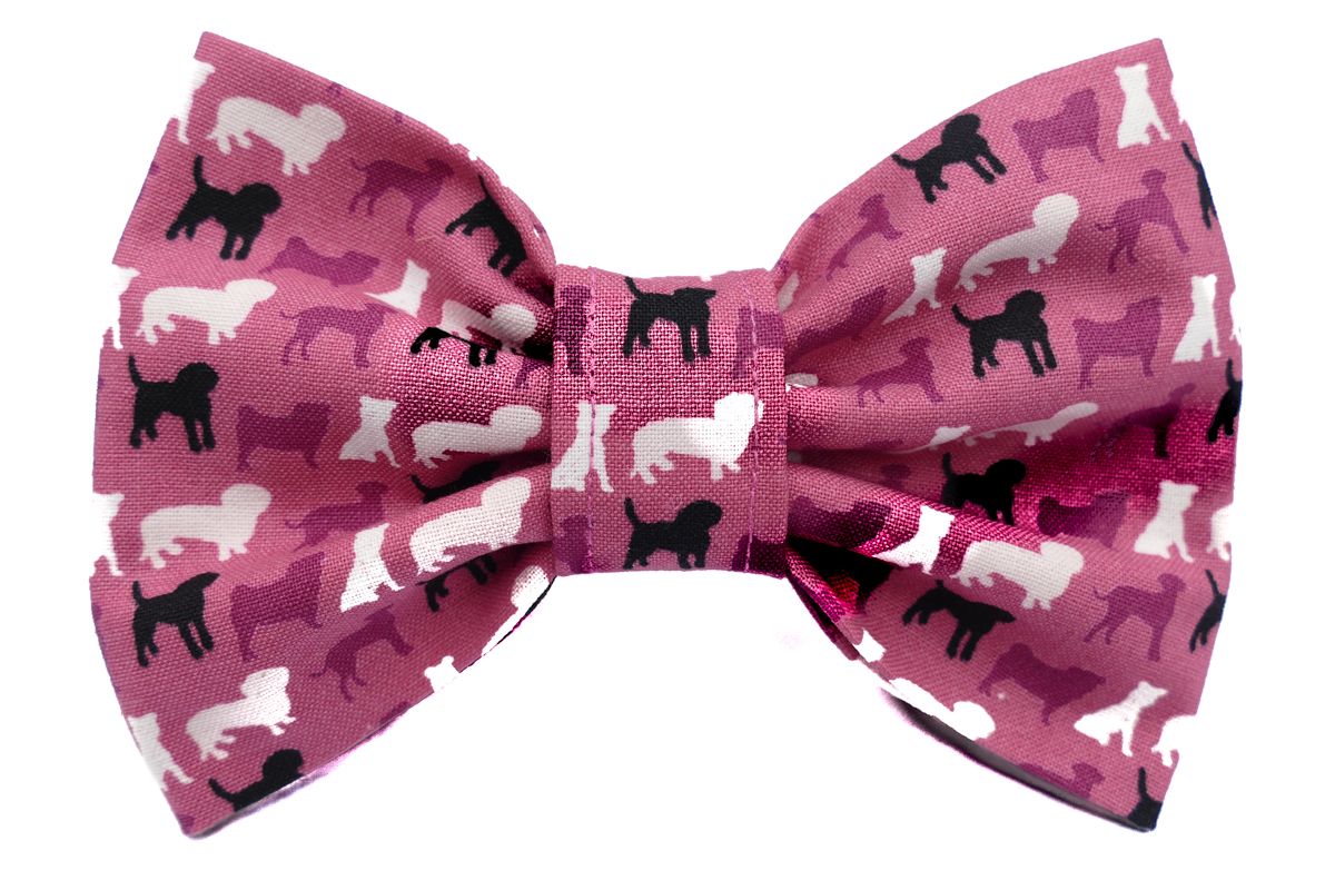 Doggy Days Dog Bow Tie Dudiedog