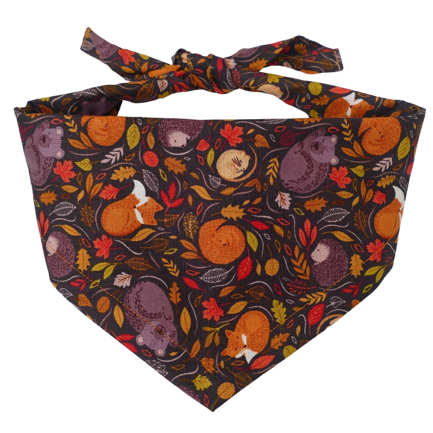 An Autumn Nap Dog Bandana