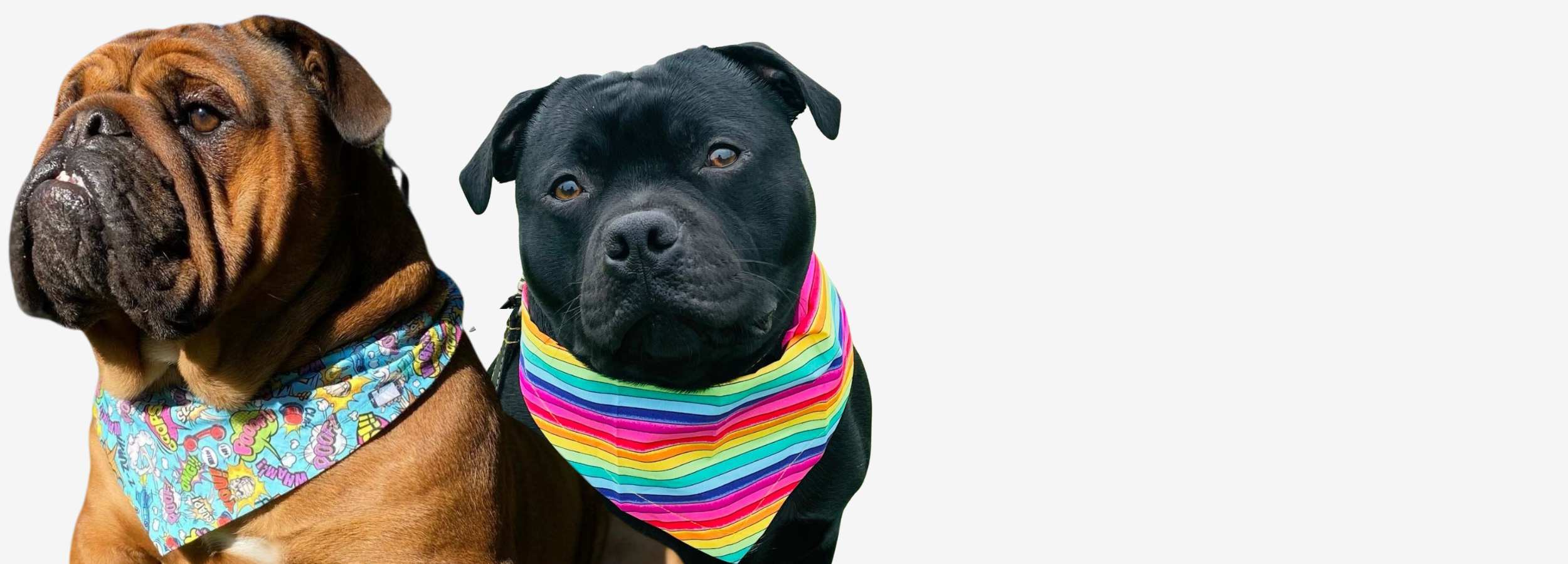 Finest handmade dog bandanas, bow ties & Droolbuster bibs Dudiedog