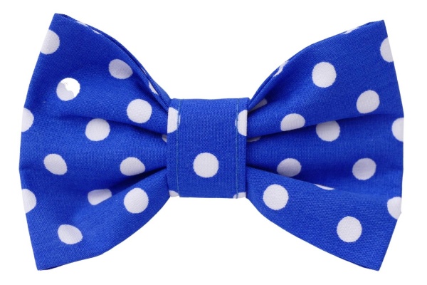 Polka Dot Dog Bow Tie (Blue)