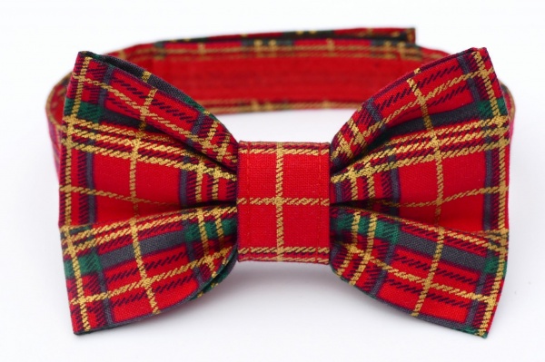 Red And Gold Tartan Bow Tie