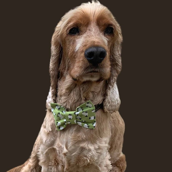 Green Sheep Bow Tie
