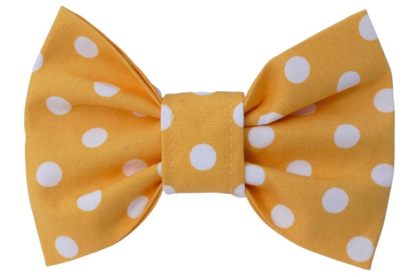 Yellow Polka Dot Dog Bow Tie